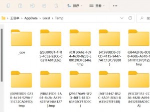 application data 是什么？存储应用程序数据的文件夹