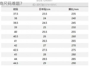 欧洲尺码、日本尺码专线好来屋，如何解决外贸电商尺码难题？