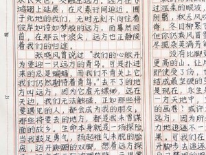 《请携我手，共赴远方之约——那些难忘的截图预览瞬间》