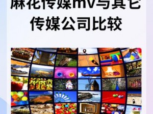 麻花传媒MV一二三区别在哪里【麻花传媒 MV 一二三有何区别？】