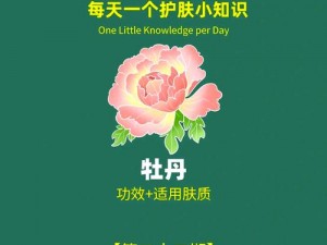 添花核心美容护肤，焕发青春光彩