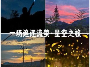 麻花星空 mV 为何如此受欢迎？如何制作属于自己的 mV？