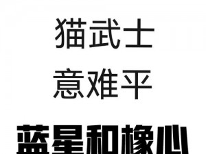 蓝猫全新出装指南：探索最佳装备组合，提升战斗实力