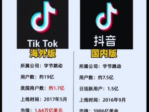 抖音国际版 tiktok色板(抖音国际版 tiktok 色板为何如此受欢迎？)