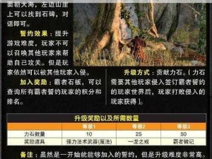 黑暗之魂2好友召唤成功率解析与计算方法探究