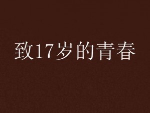 17岁日本免费完整版观看【17 岁日本免费完整版观看：青春成长的故事】