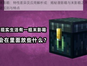 潜影箱与末影箱：特性差异及应用解析或：揭秘潜影箱与末影箱之不同，全方位解读两者区别与特点