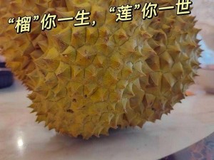 榴莲视频最新免费版下载、榴莲视频最新免费版下载——畅享无限制精彩内容