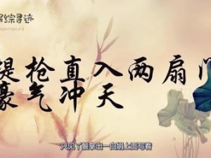 为什么-如何-怎样观看提枪直入两扇门视频？