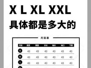 我的上司尺码是XL类似;我的上司尺码是 XL，我该如何与他相处？