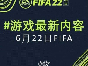 FIFA 13创建个人偏好时闪退解析与解决方案探讨