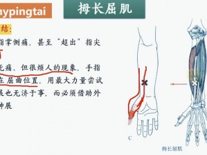 丰年经继拇中文 2 的创新点是什么？如何解决痛点？