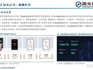 国精产品 69 永久中国有限：一款功能强大的国产软件，让你的工作更高效