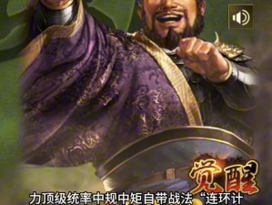 《三国志12PK威力加强版：庞涓统帅值之谜》