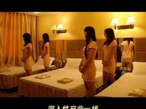 法国妓女网;法国妓女网是否合法？