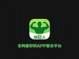 绿巨人 app 下载：为什么-如何-怎样找到安全可靠的下载渠道？