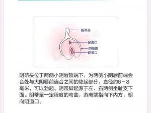 在公交车上荫蒂被添为什么会这么舒服？如何才能有这种体验？添荫蒂有什么技巧吗？