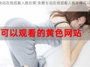 免费b站在线观看人数在哪;免费 b 站在线观看人数在哪可以查看？