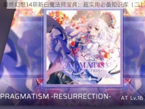 最终幻想14萌新白魔法师宝典：超实用必备知识库（二）