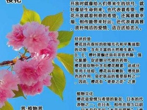 我可以深入了解你的樱花吗-我可以深入了解你那粉嫩的樱花吗？