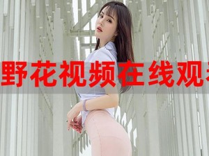 野花视频在线观看免费播放高清版，为何这么火？怎样实现？