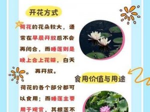 什么叫倒插莲花？为何会出现这种情况？如何避免？