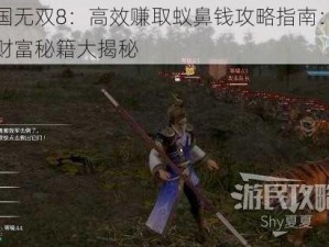 真三国无双8：高效赚取蚁鼻钱攻略指南：快速获取财富秘籍大揭秘