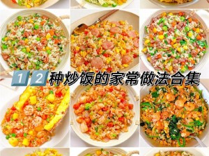 玛娜希斯回响：高原炒饭食谱配方独特分享，色香味俱佳的美食制作揭秘