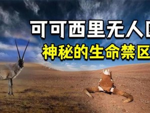 无人区乱码二线三线 无人区乱码二线三线，究竟隐藏着怎样的秘密？