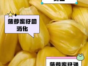 菠萝蜜国际一区麻豆：为何如此受欢迎？如何找到最佳资源？