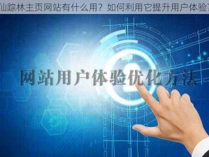 仙踪林主页网站有什么用？如何利用它提升用户体验？