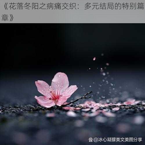 《花落冬阳之病痛交织：多元结局的特别篇章》