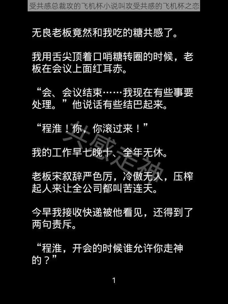 受共感总裁攻的飞机杯小说叫攻受共感的飞机杯之恋