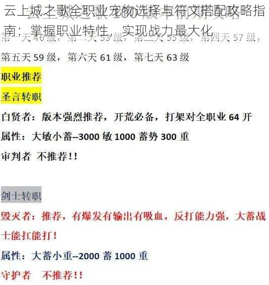 云上城之歌全职业宠物选择与符文搭配攻略指南：掌握职业特性，实现战力最大化