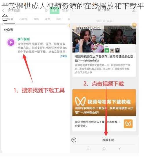 一款提供成人视频资源的在线播放和下载平台