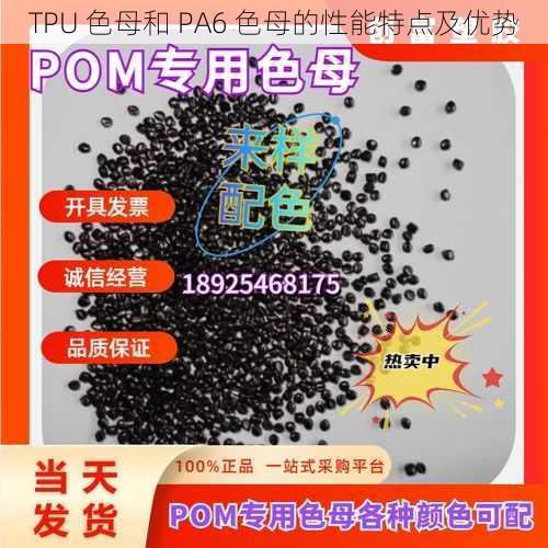 TPU 色母和 PA6 色母的性能特点及优势