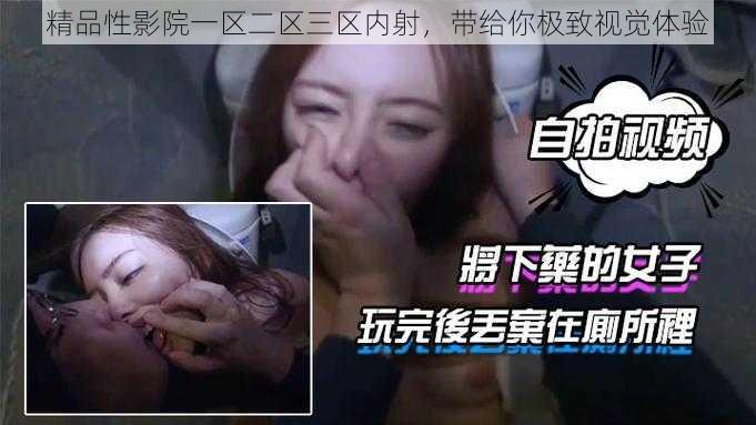 精品性影院一区二区三区内射,带给你极致视觉体验