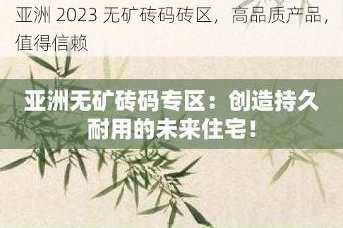 亚洲 2023 无矿砖码砖区，高品质产品，值得信赖