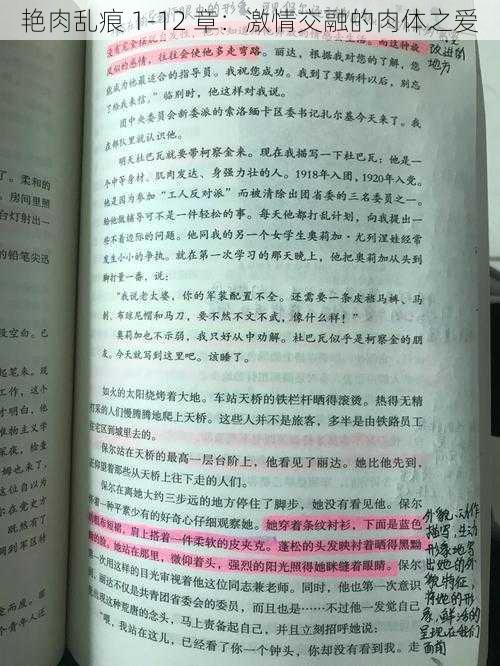 艳肉乱痕 1-12 章：激情交融的肉体之爱