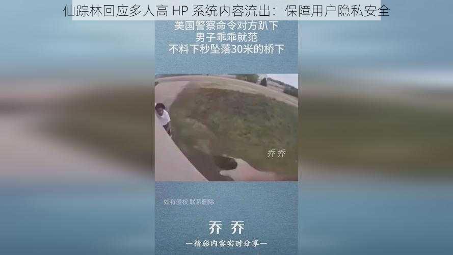 仙踪林回应多人高 HP 系统内容流出：保障用户隐私安全