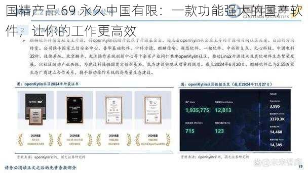 国精产品 69 永久中国有限：一款功能强大的国产软件，让你的工作更高效