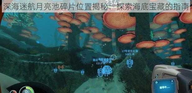 深海迷航月亮池碎片位置揭秘：探索海底宝藏的指南