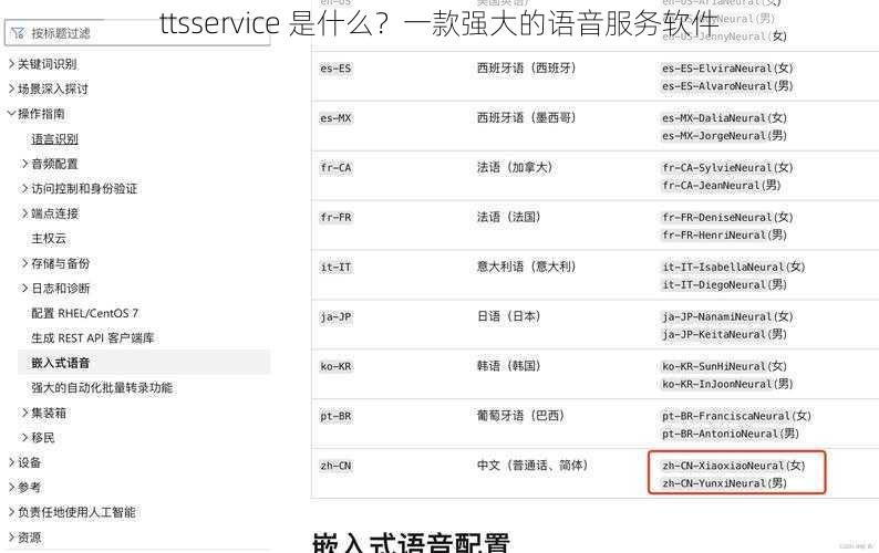 ttsservice 是什么？一款强大的语音服务软件