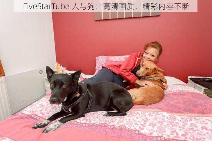 FiveStarTube 人与狗：高清画质，精彩内容不断