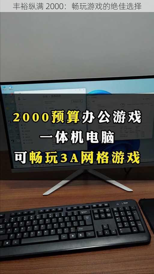 丰裕纵满 2000：畅玩游戏的绝佳选择