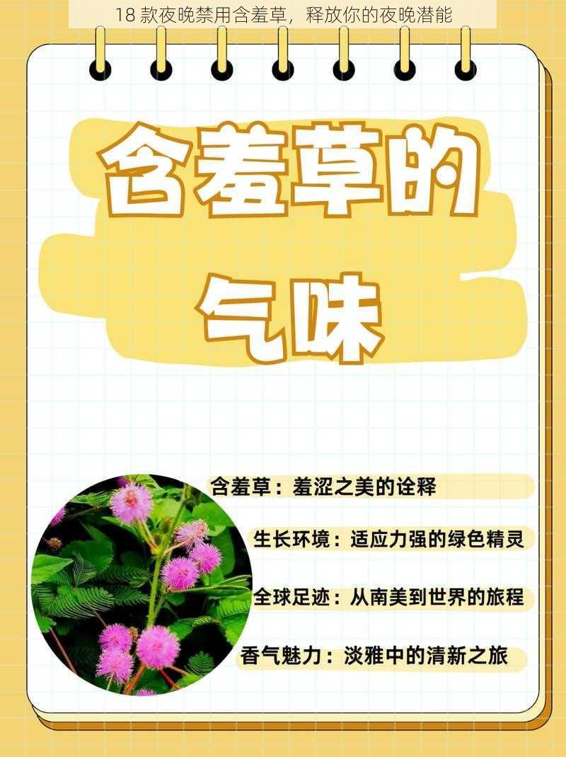 18 款夜晚禁用含羞草，释放你的夜晚潜能