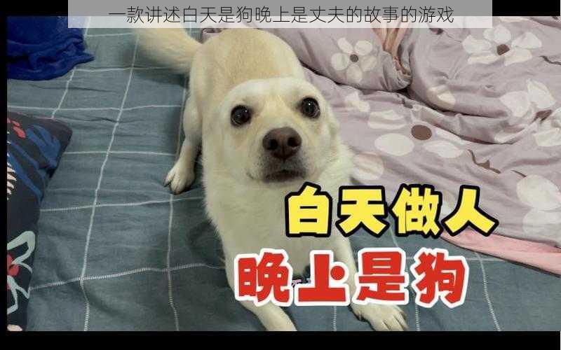 一款讲述白天是狗晚上是丈夫的故事的游戏