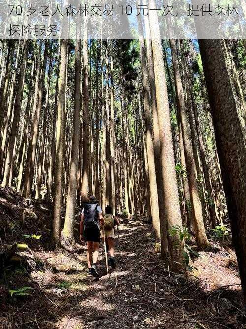 70 岁老人森林交易 10 元一次，提供森林探险服务