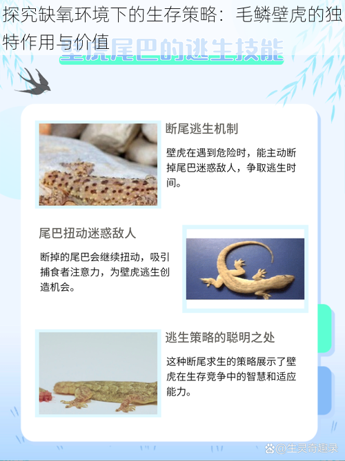 探究缺氧环境下的生存策略：毛鳞壁虎的独特作用与价值