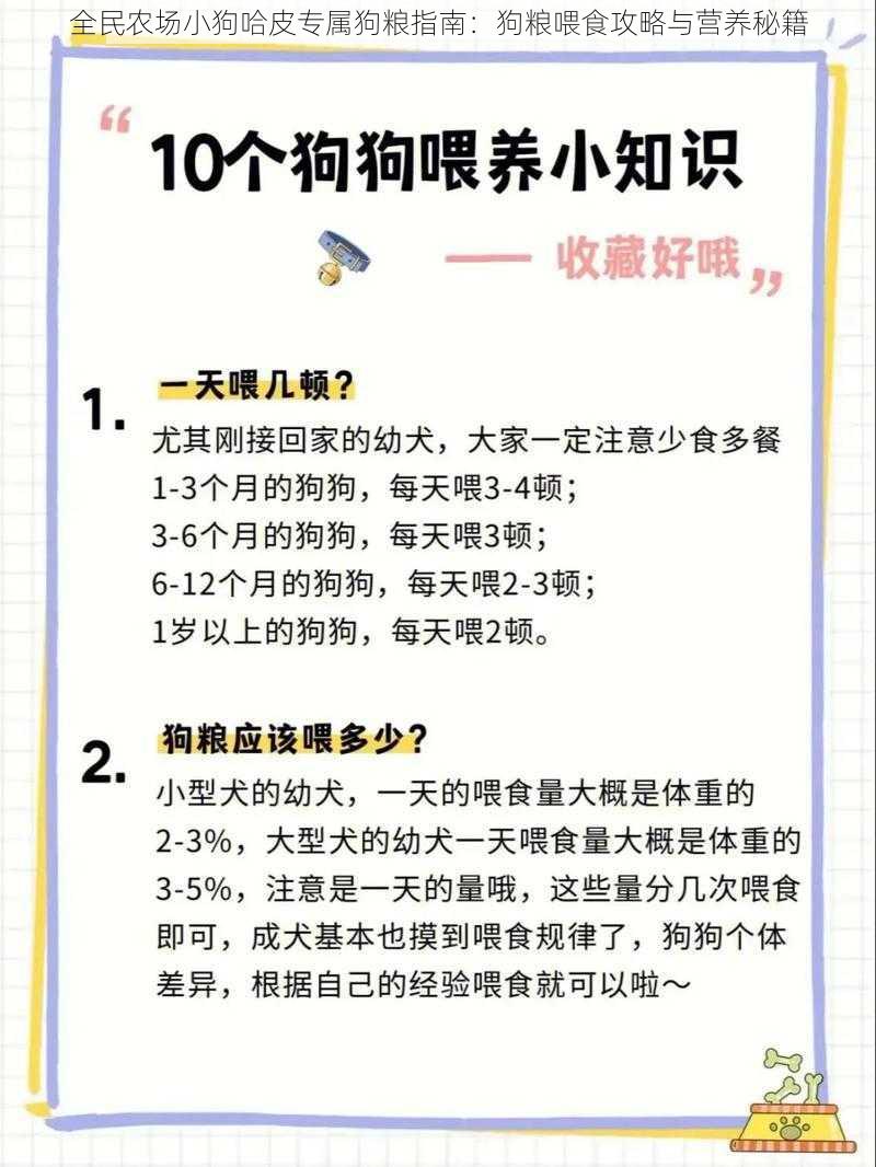 全民农场小狗哈皮专属狗粮指南：狗粮喂食攻略与营养秘籍